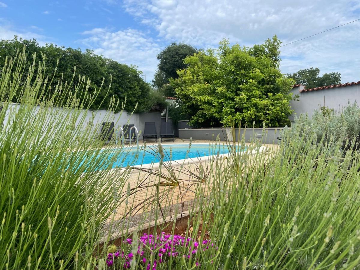 Villa Elisa Kaštelir Exteriér fotografie